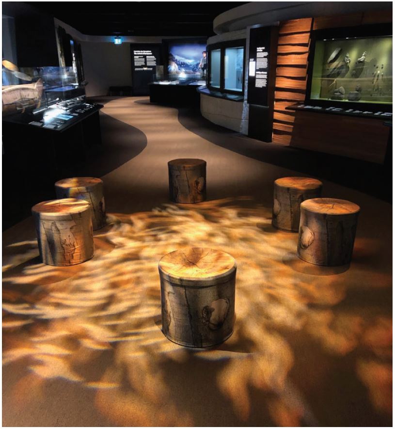 An exhibit showing six artificial log stumps with wavy lighting effect