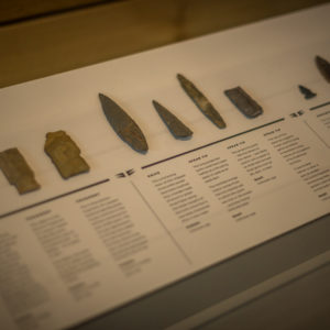 Arrow heads on display in the ‘Surrey Stories Gallery’