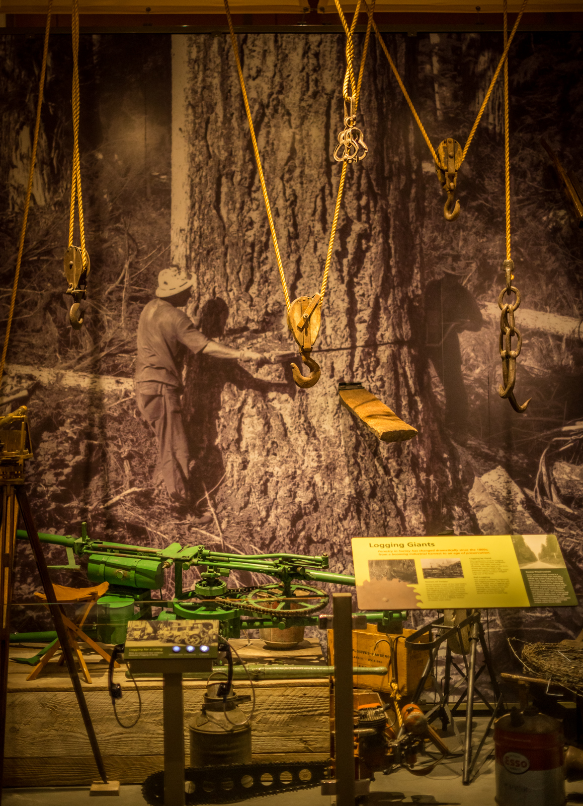 A display of lumber equipment in the ‘Surrey Stories Gallery’