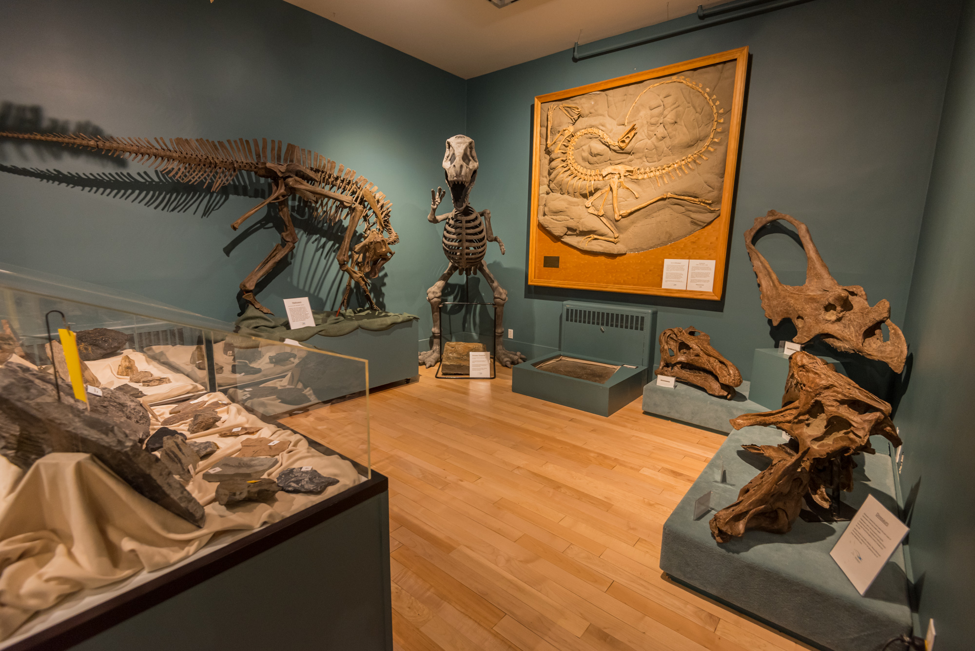 Courtenay and District Museum and Paleontology Centre