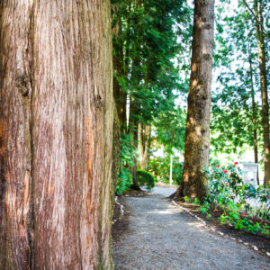 Burnaby Village Museum